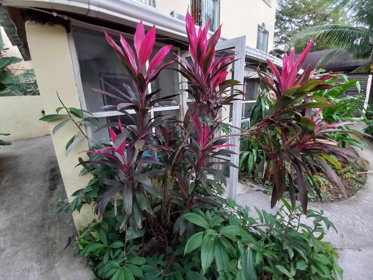 Roatan Backpackers' Hostel Sandy Bay Buitenkant foto